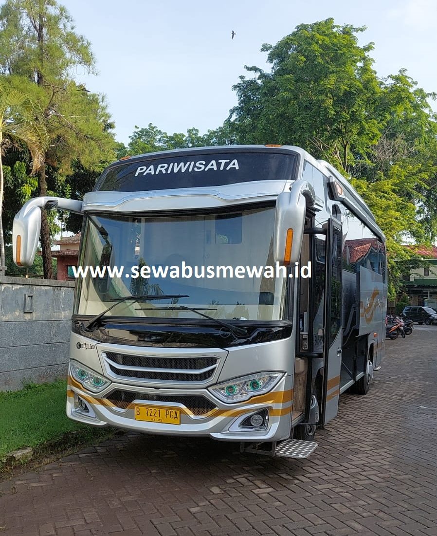 Luxury Medium Bus White Horse